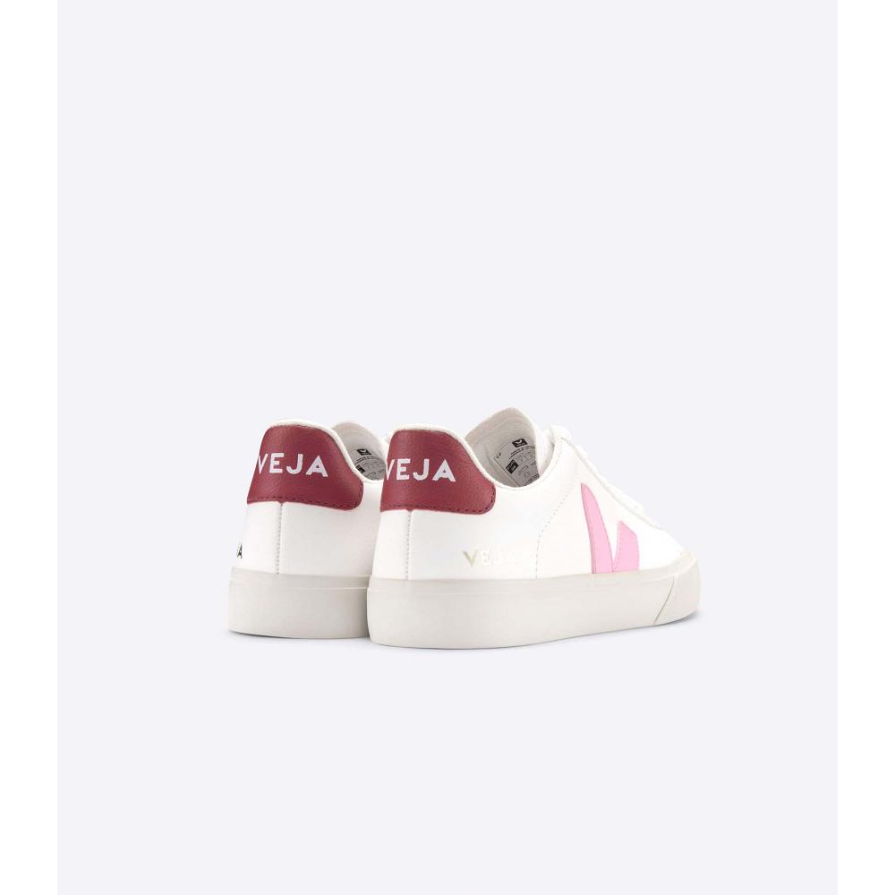 Veja CAMPO CHROMEFREE Low Tops Sneakers Panske White/Pink | SK 293YXF